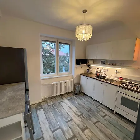 Self-check - White Two * Nyitra