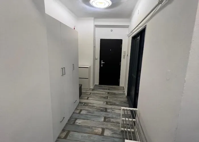 Self-check - White Two * Nyitra